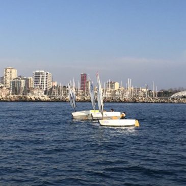 İYK İstanbul Ligi ve Trofesi 3. Ayak Yarışları tamamlandı